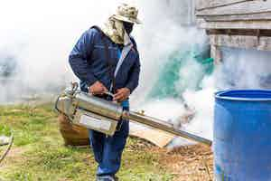 Fumigation And Pest Control Services