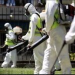 Fumigation And Pest Control Services